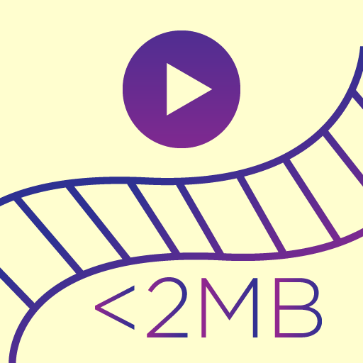 Easy Video Converter