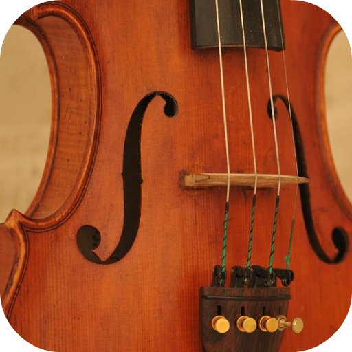 Violin Notes for Beginners