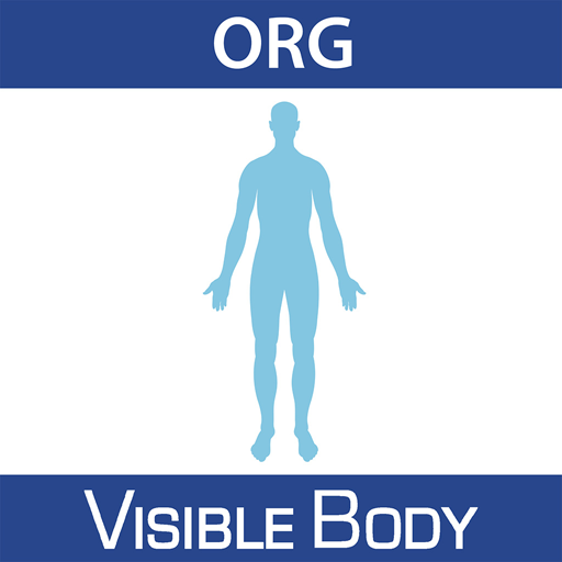Physiology Animations 16 (Org.
