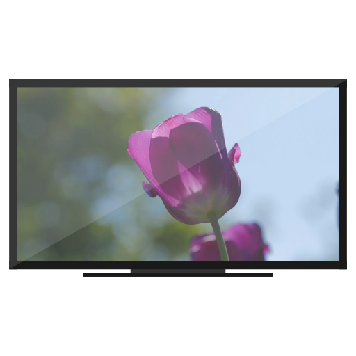 Spring Garden on Chromecast