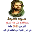 حكم الإمام علي عليه السلام