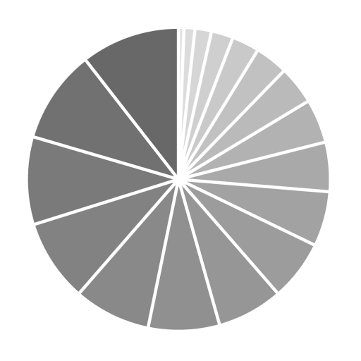 Decision Wheel