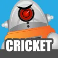 Robot Cricket