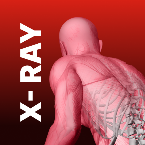 Xray Body Scanner Simulator