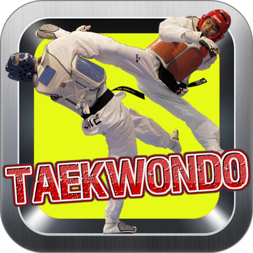 Taekwondo Kick Training