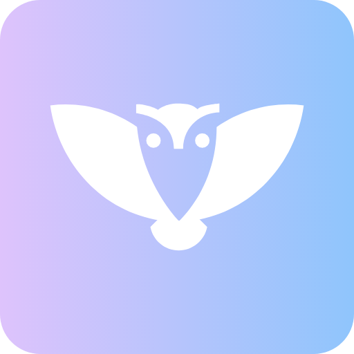 Owl VPN: Secure and Fast