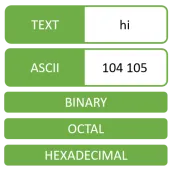 ASCII Converter - Text Encoder