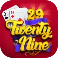 29 Card Game
