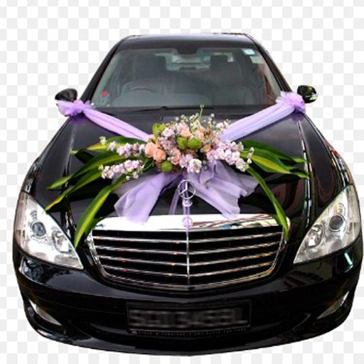 Bridal Car Design