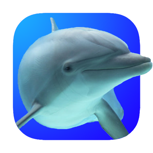 UwEdit - Diving footage editor
