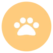 StudyPaw: Offline Dictionary