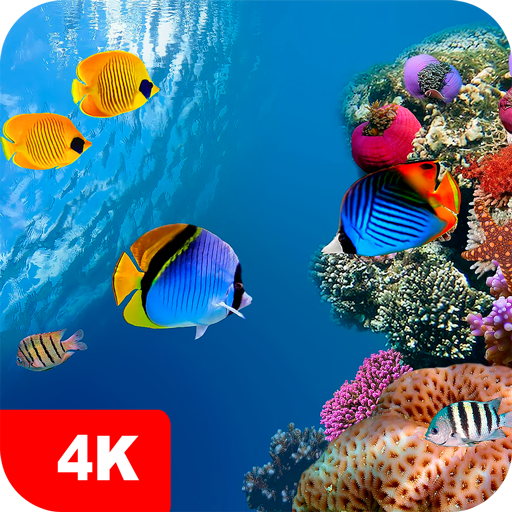 Underwater Wallpapers 4K