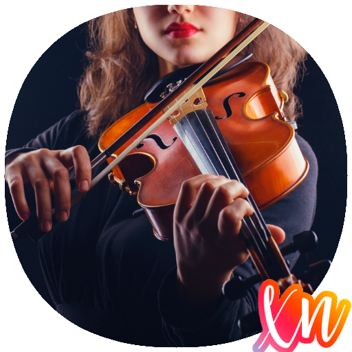 Beginner Violin Lessons Guide