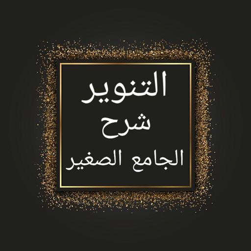 التنوير شرح الجامع الصغير