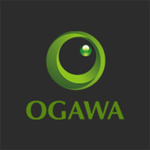 Ogawa AI Master Drive
