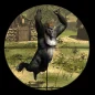 Gorilla Hunter: Trò chơi săn