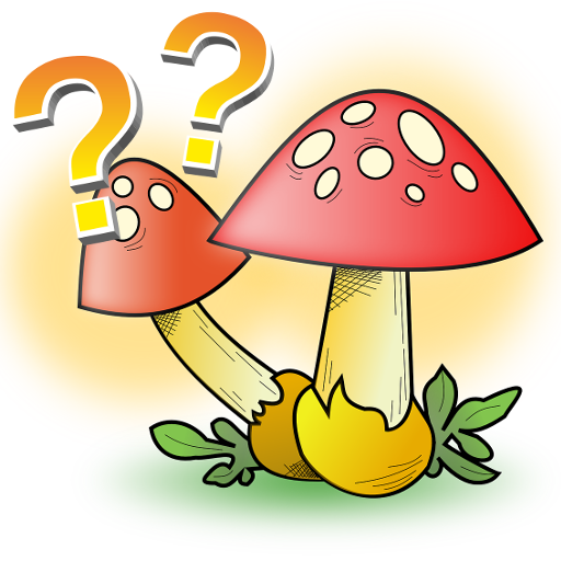 Mushrooms - quiz