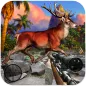 Deer Sniper Hunter: Wild Anima