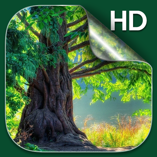 Hutan Wallpaper Langsung HD