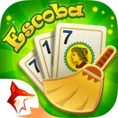 Escoba Del 15: Zingplay Argent