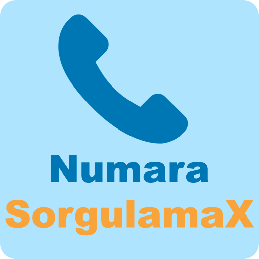 Numara Sorgulama