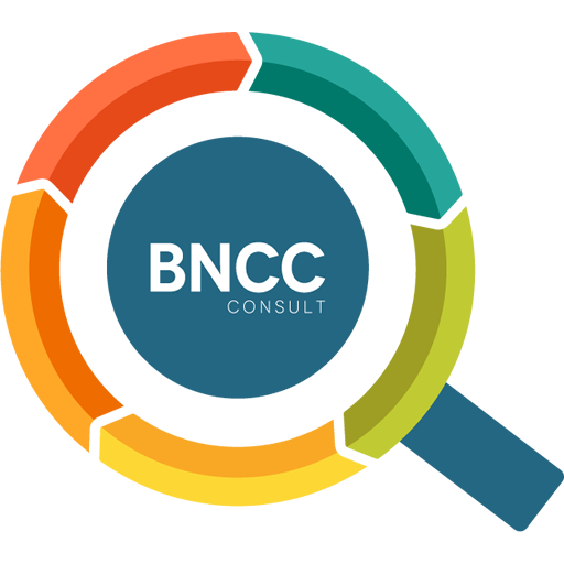 BNCC Consult