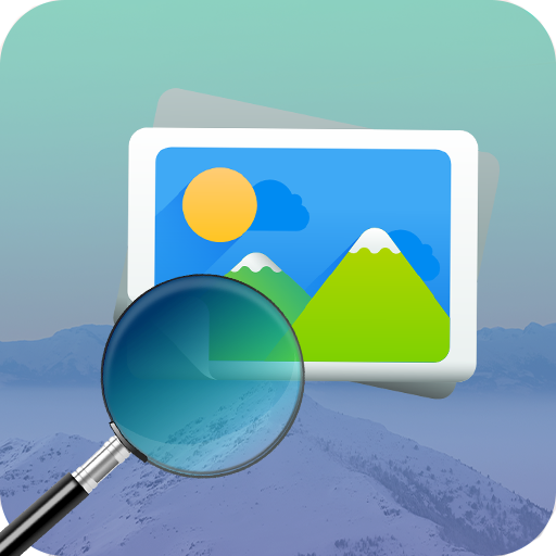 Reverse Image Search by Photo