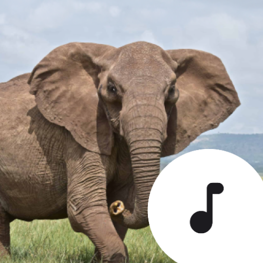 Elephant Sounds