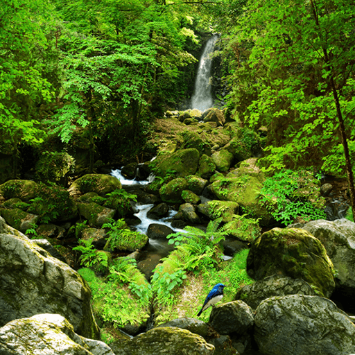 Tranquil Waters of Japan