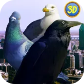 Şehir Kuşları Simülatörü