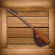 Baglama Pro