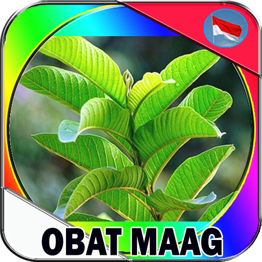 Obat Maag Herbal Alami,