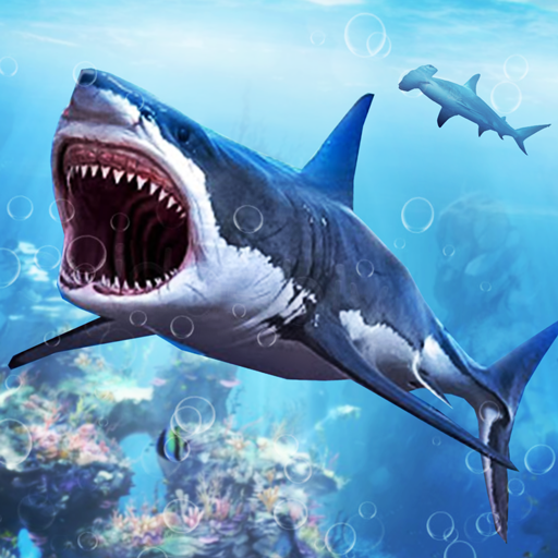 White Shark Attack Mission 3D