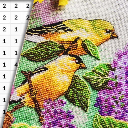 Color Cross Stitch By Number