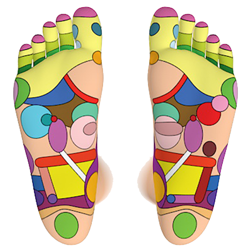 Foot Reflexology Chart