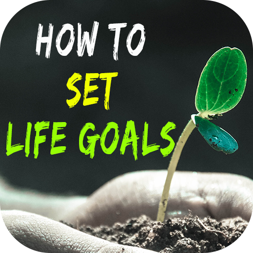 Success Goals Guide
