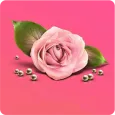 Romantic Picture