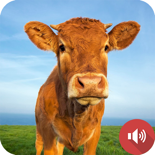 Звуки коровы