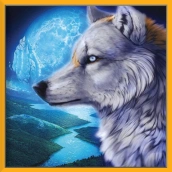 Wolf Simulator 3D Wild Animal