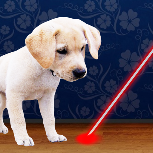 Laser pointer para cachorro
