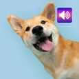 Dogs Love: Sounds & Ringtones
