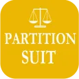 Partition Suit