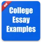 College Essay Examples