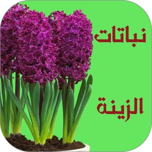 نباتات الزينة