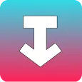 TT Video Downloader - sssTik