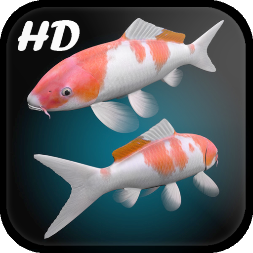 Koi Fish Live Wallpaper 3D