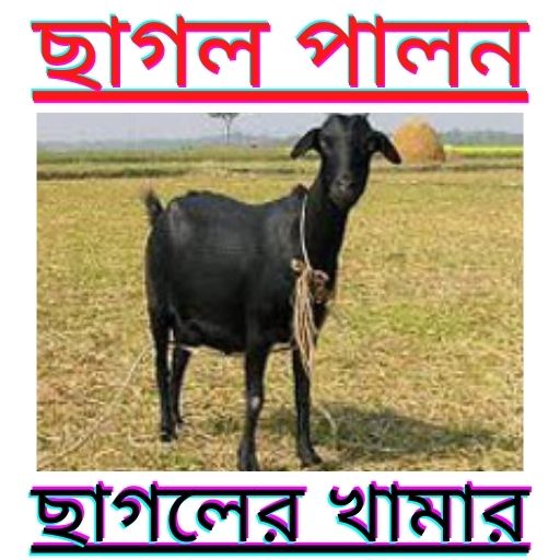 ছাগল পালন-Goat rearing