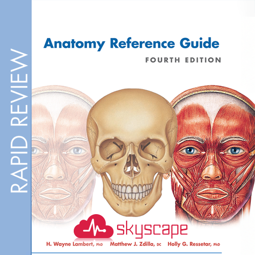 Rapid Review Anatomy Guide