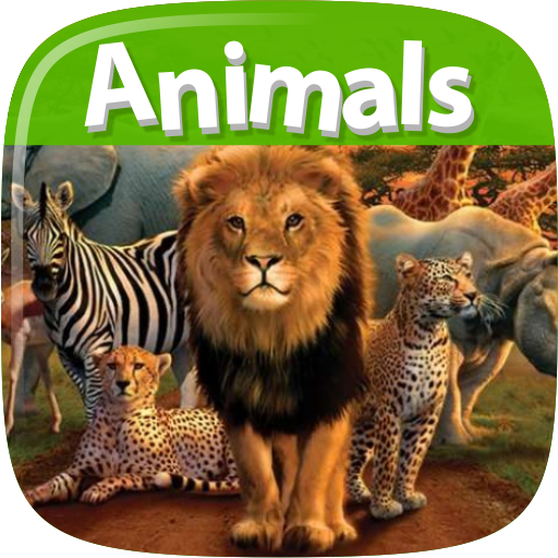 Animals Dictionary