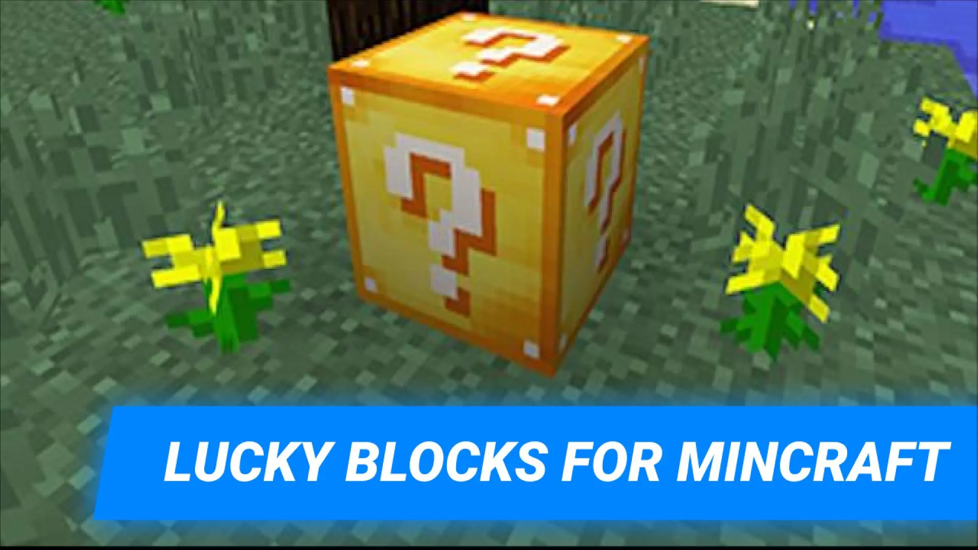 Download Lucky Block mod for MCPE android on PC